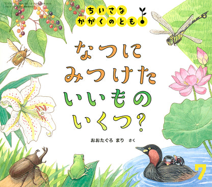 【2～4才向け】夏を満喫できる お話とかがく  5冊セット