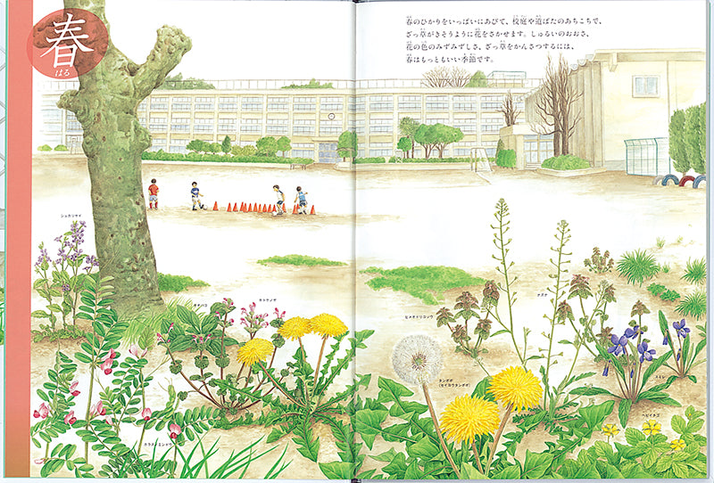 校庭のざっ草