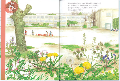 校庭のざっ草