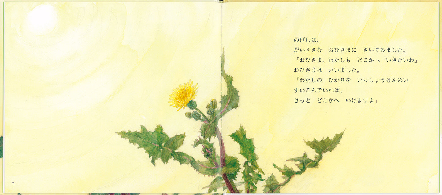 のげしと おひさま