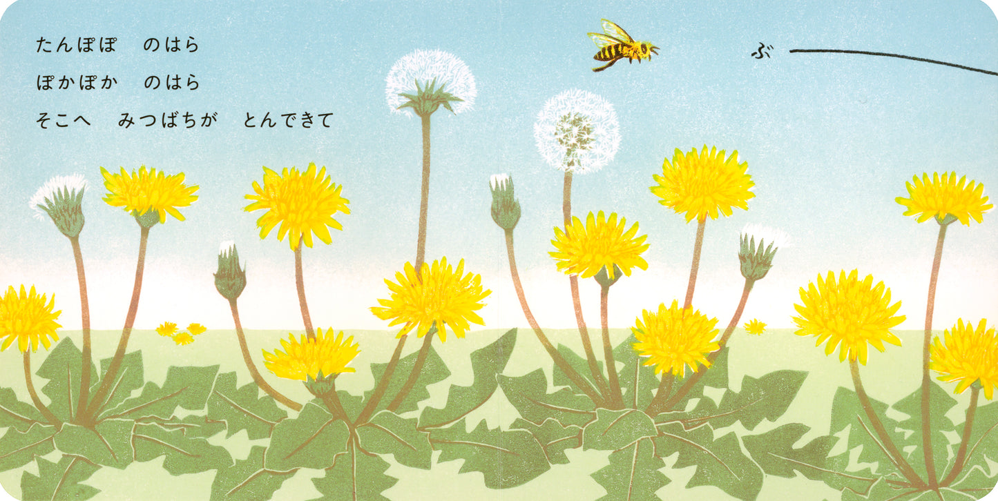 たんぽぽのはら