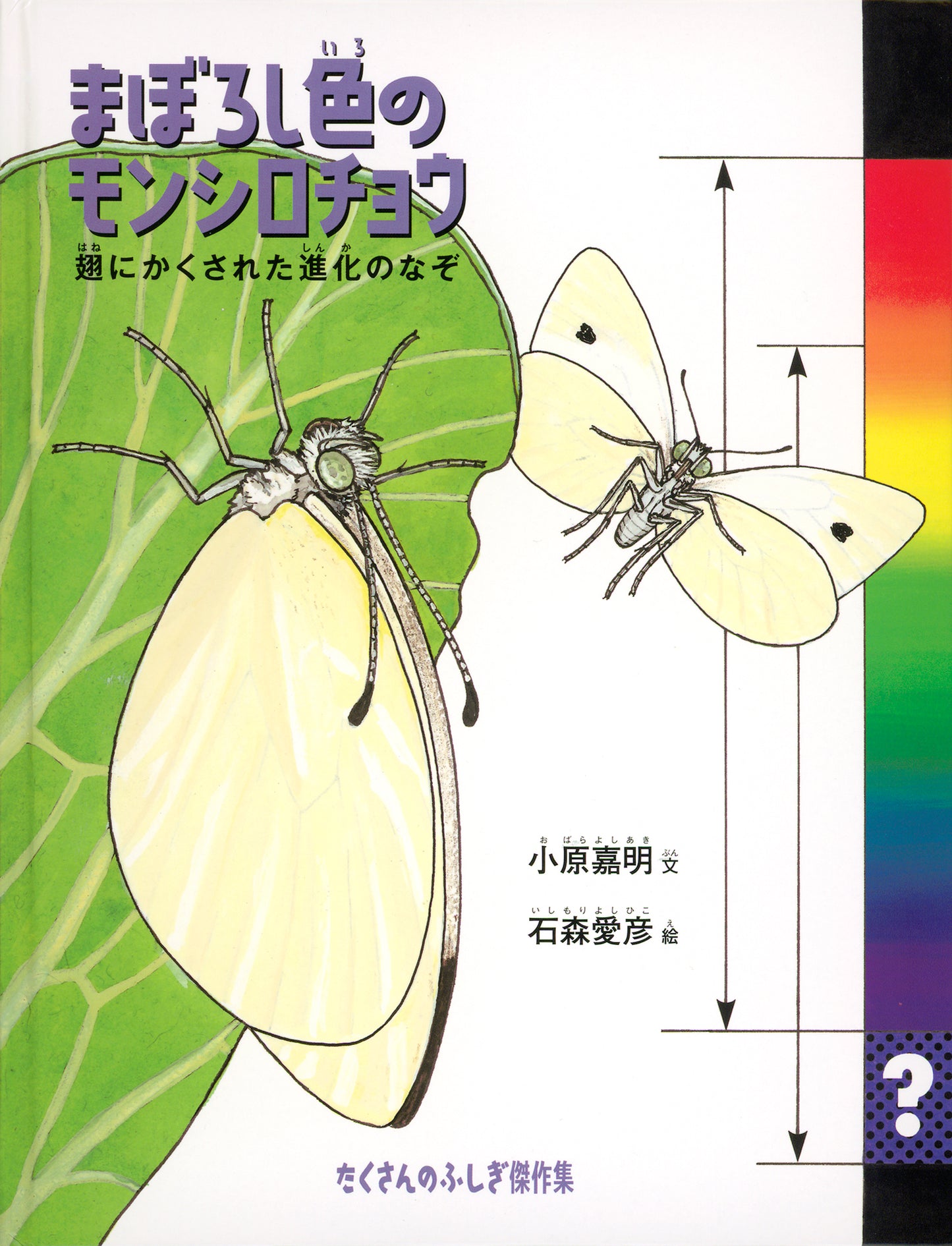 まぼろし色のモンシロチョウ