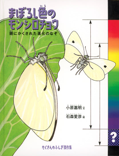 まぼろし色のモンシロチョウ