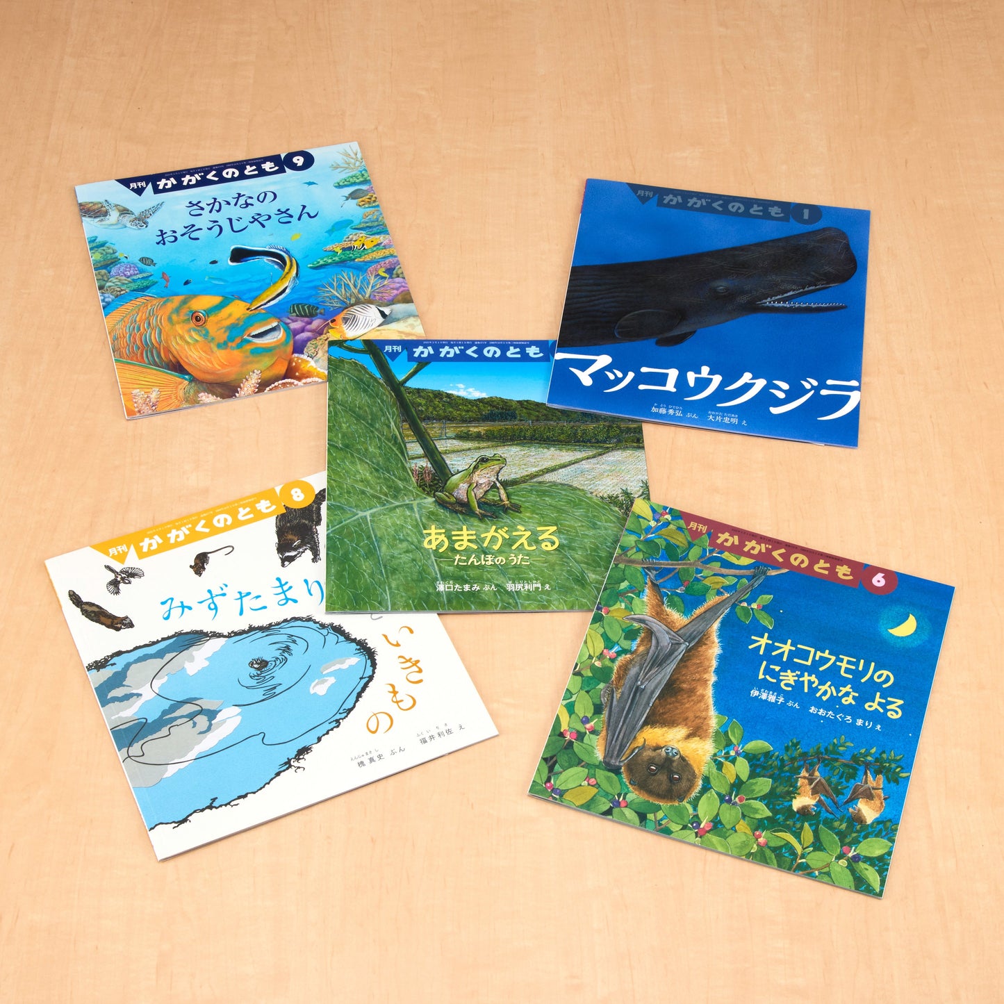 【4～6才向け】生きもの博士になろう！セット (2025 秋冬)