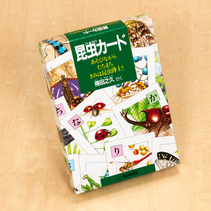 昆虫カード