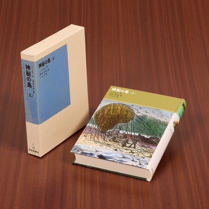 神秘の島（上）