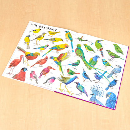 いきものづくし　ものづくし　12冊セット