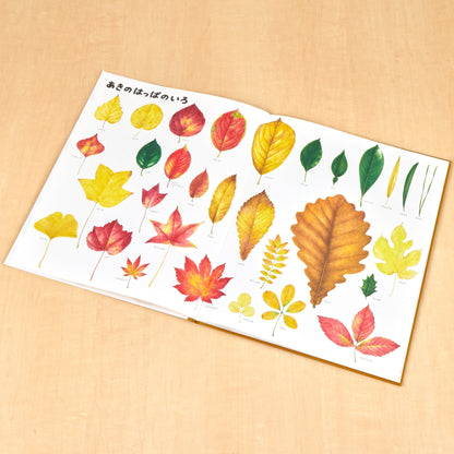 いきものづくし　ものづくし　12冊セット