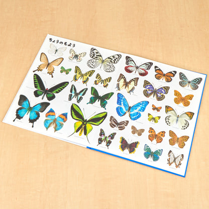 いきものづくし　ものづくし　12冊セット