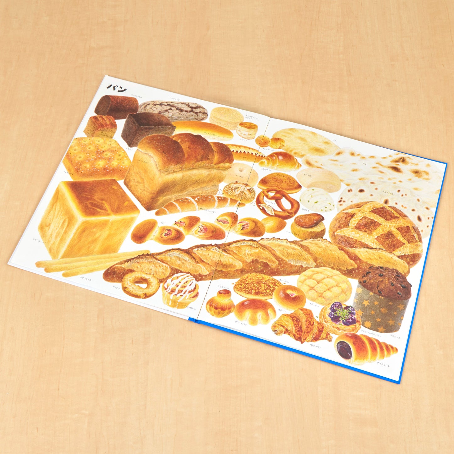 いきものづくし　ものづくし　12冊セット