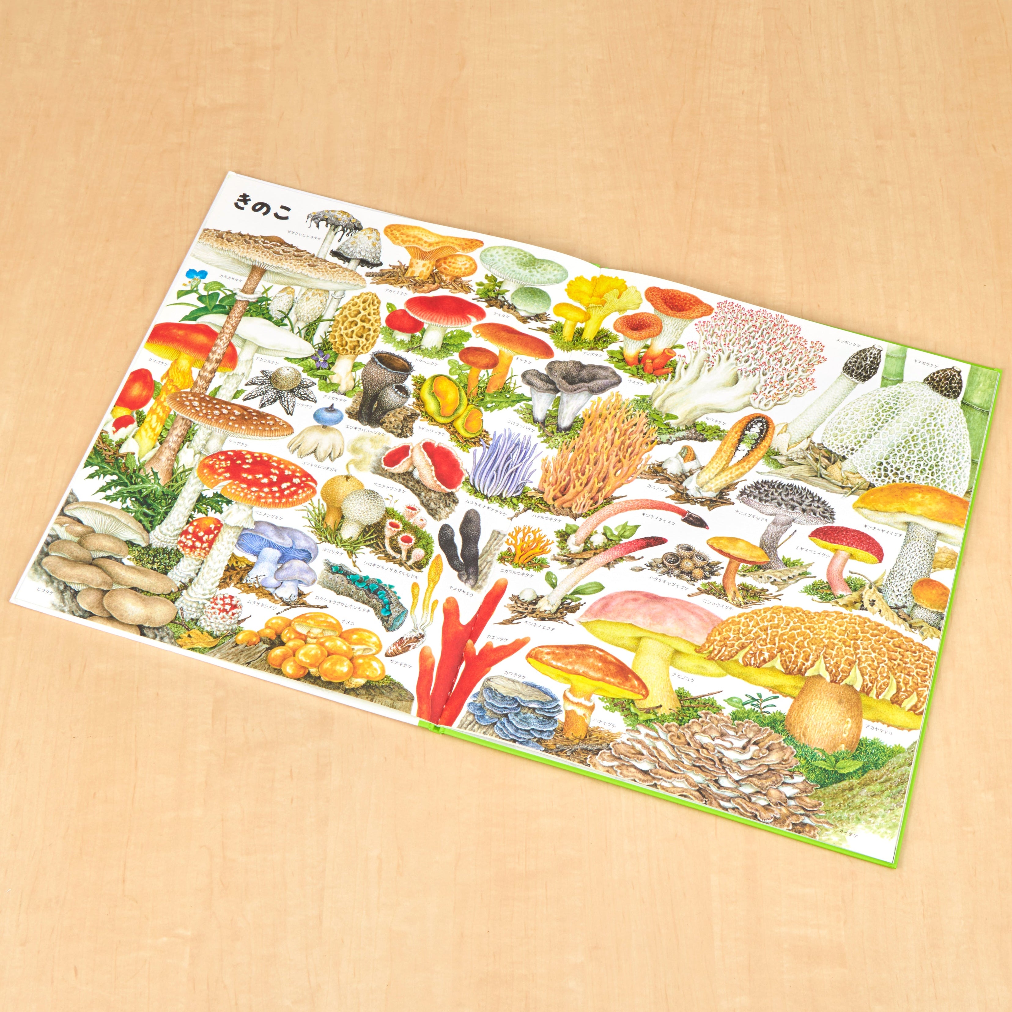 いきものづくし ものづくし 12冊セット – 福音館書店 オンラインストア