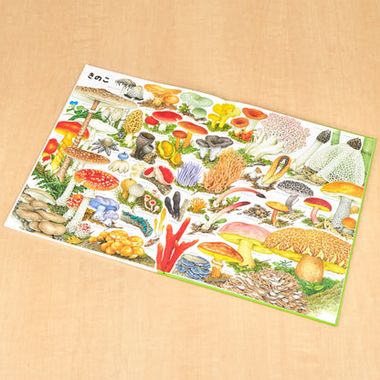 いきものづくし　ものづくし　12冊セット