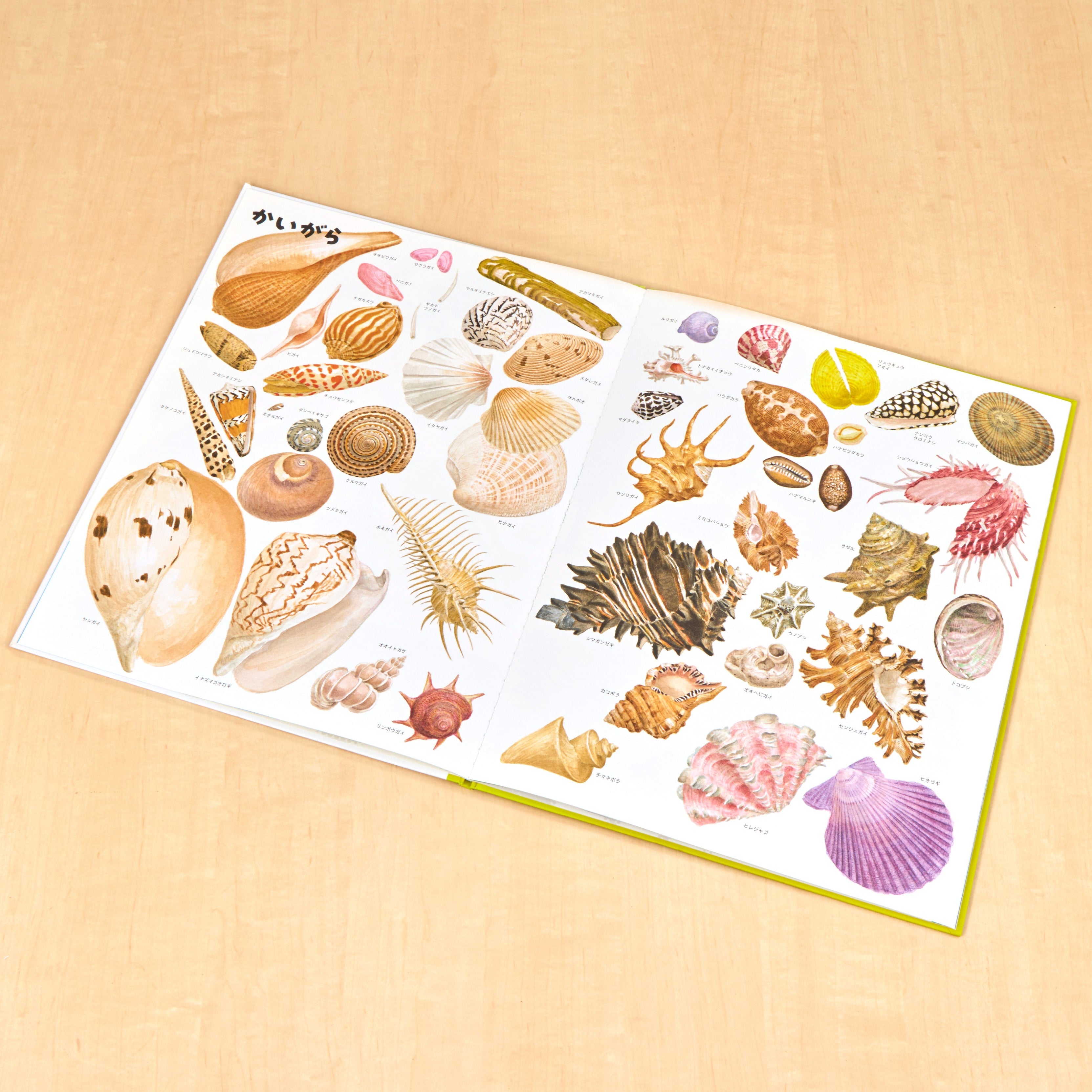 いきものづくし ものづくし 12冊セット – 福音館書店 オンラインストア