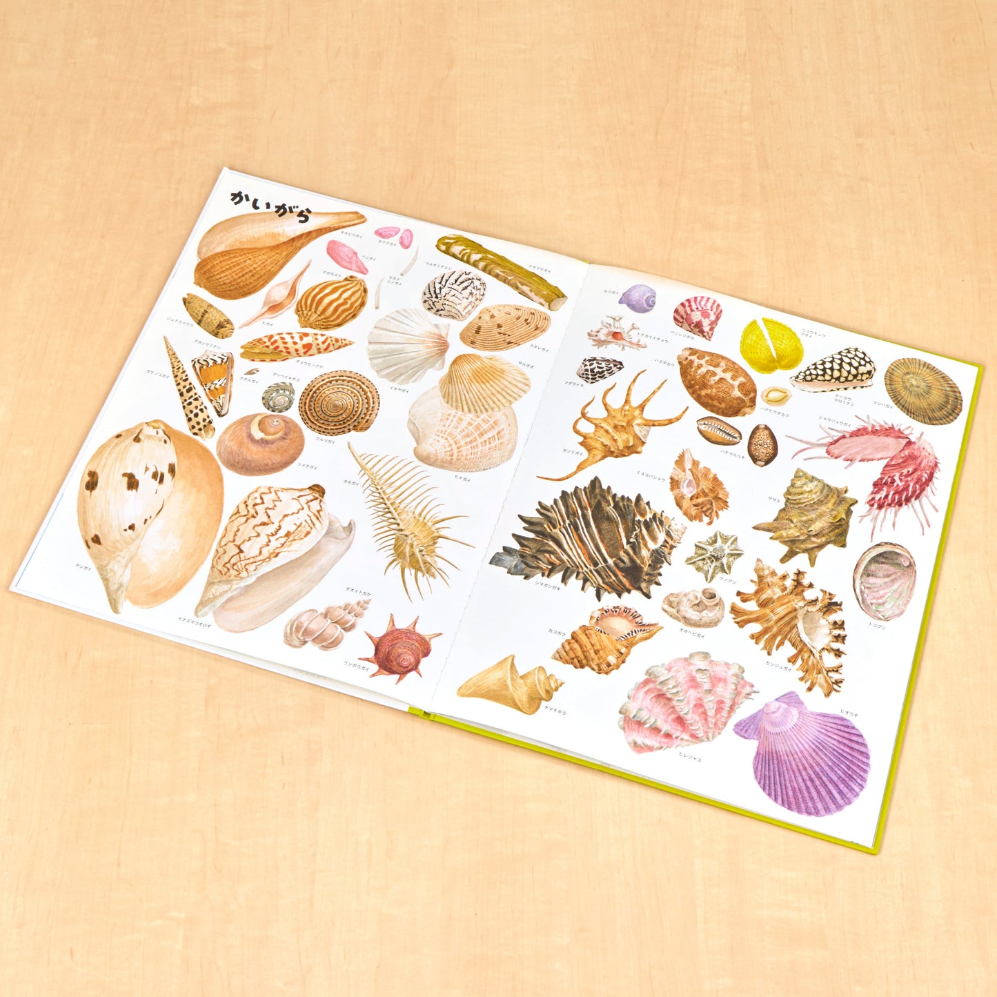 いきものづくし　ものづくし　12冊セット