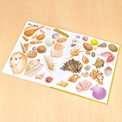 いきものづくし　ものづくし　12冊セット