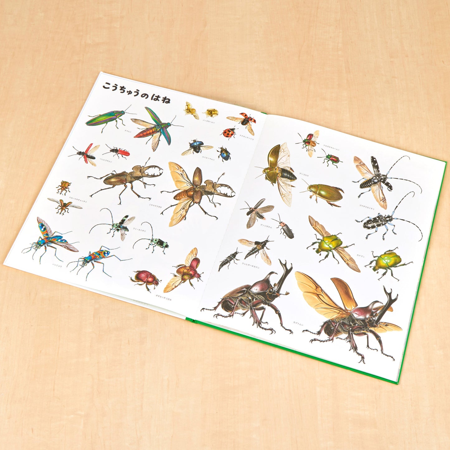 いきものづくし　ものづくし　12冊セット