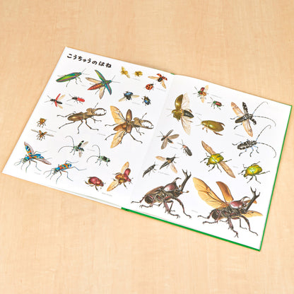 いきものづくし　ものづくし　12冊セット