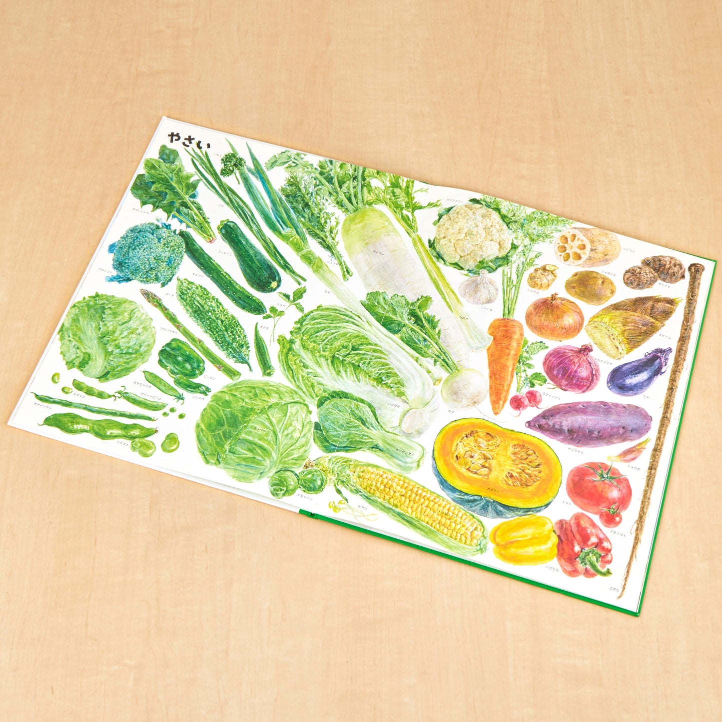 いきものづくし　ものづくし　12冊セット