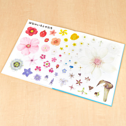 いきものづくし　ものづくし　12冊セット