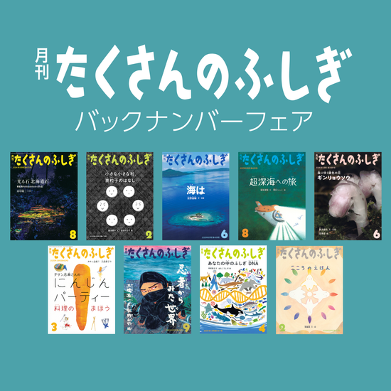 福音館書店 オンラインストア