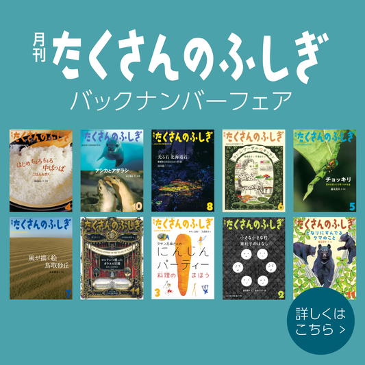値下げ!新品未使用 福音館 児童書 小学高学年 中学生 16冊 福音館書店 オンラインストア