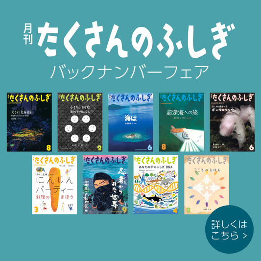 福音館書店 オンラインストア